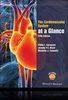 The cardiovascular system at a glance