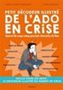 Petit décodeur illustré de l'ado en crise : quand la crise nous permet d'enrichir le lien